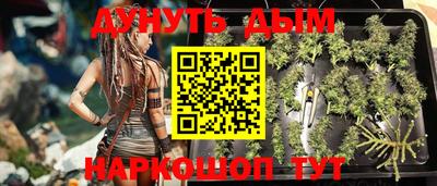 молекула духа Донской