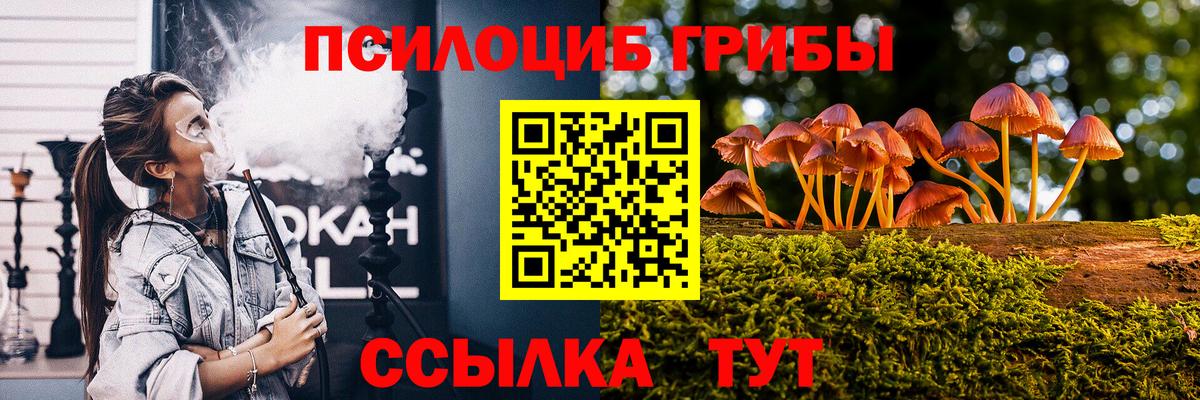 Галлюциногенные грибы Psilocybe  Псилоцибиновые грибы Psilocybe  Вход с VPN  Назрань 